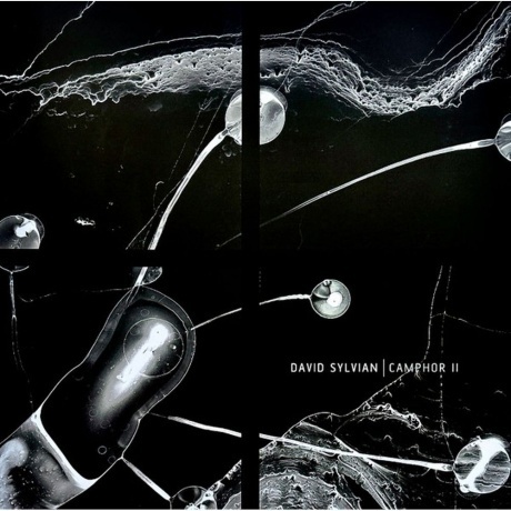 David Sylvian - Camphor II (coloured) (0602475268796) виниловая пластинка
David Sylvian - Camphor II (coloured) (0602475268796) виниловая пластинка