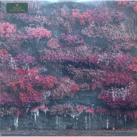 Sleep Token - Even In Arcadia (0198029031119) виниловая пластинка
Sleep Token - Even In Arcadia (0198029031119) виниловая пластинка