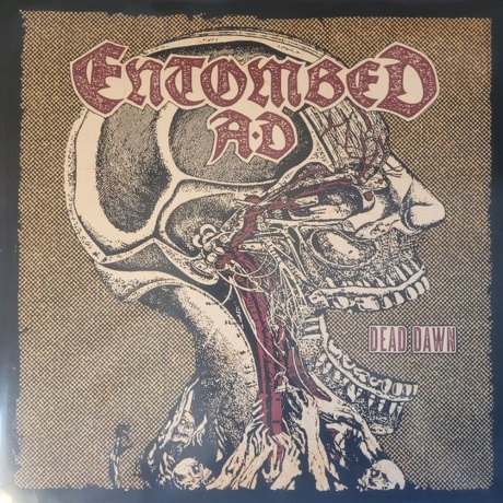 Entombed A.D. - Dead Dawn (9010974000358) виниловая пластинка
Entombed A.D. - Dead Dawn (9010974000358) виниловая пластинка
