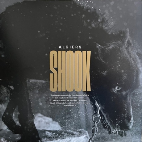 Algiers - Shook (coloured) (0191401178402) виниловая пластинка
Algiers - Shook (coloured) (0191401178402) виниловая пластинка