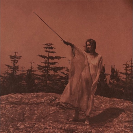 Unknown Mortal Orchestra - II (0656605223216) виниловая пластинка
Unknown Mortal Orchestra - II (0656605223216) виниловая пластинка