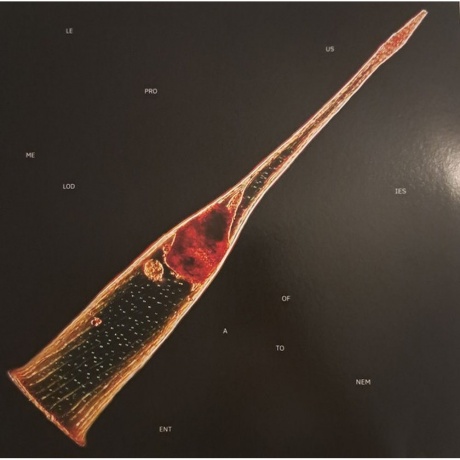 Leprous - Melodies Of Atonement (0196588950810) виниловая пластинка
Leprous - Melodies Of Atonement (0196588950810) виниловая пластинка