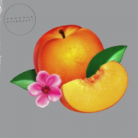 Phoenix - Bankrupt! (0892038002862) виниловая пластинка
Phoenix - Bankrupt! (0892038002862) виниловая пластинка