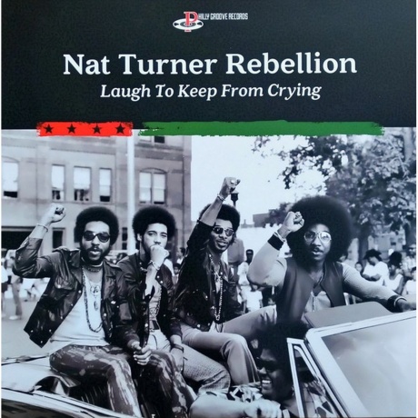 Nat Turner Rebellion - Laugh To Keep From Crying (5060516095278) виниловая пластинка
Nat Turner Rebellion - Laugh To Keep From Crying (5060516095278) виниловая пластинка