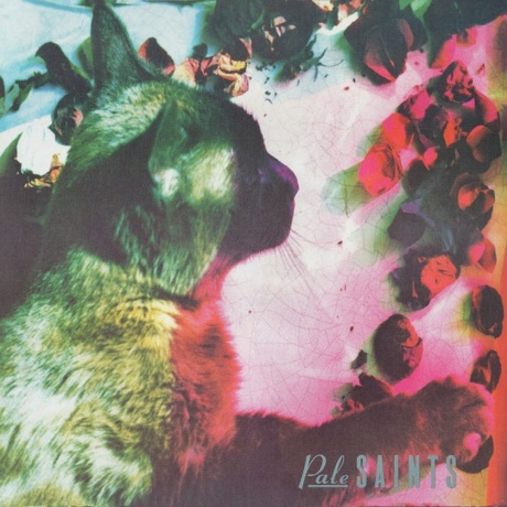 Pale Saints - The Comforts Of Madness (0191400015913) виниловая пластинка
Pale Saints - The Comforts Of Madness (0191400015913) виниловая пластинка