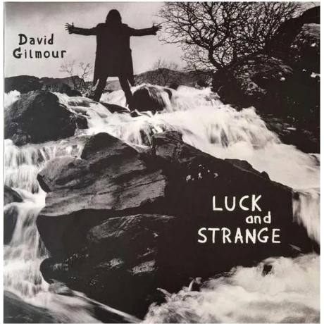 David Gilmour - Luck And Strange (0198028046114) виниловая пластинка хорошее состояние
David Gilmour - Luck And Strange (0198028046114) виниловая пластинка хорошее состояние