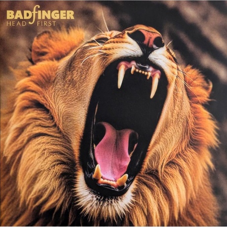 Badfinger - Head First (0843563183212) виниловая пластинка
Badfinger - Head First (0843563183212) виниловая пластинка