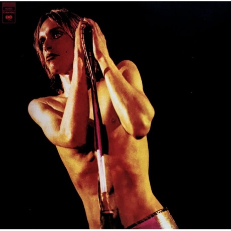 The Stooges - Raw Power (0886919593518) виниловая пластинка
The Stooges - Raw Power (0886919593518) виниловая пластинка