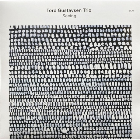 Tord Gustavsen - Seeing (0602465204629) виниловая пластинка
Tord Gustavsen - Seeing (0602465204629) виниловая пластинка