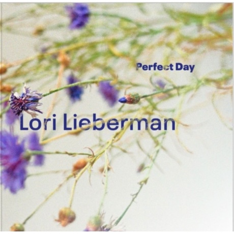 Lori Lieberman - Perfect Day (Audiophile One-Step Pressing) (4170000200895) виниловая пластинка
Lori Lieberman - Perfect Day (Audiophile One-Step Pressing) (4170000200895) виниловая пластинка