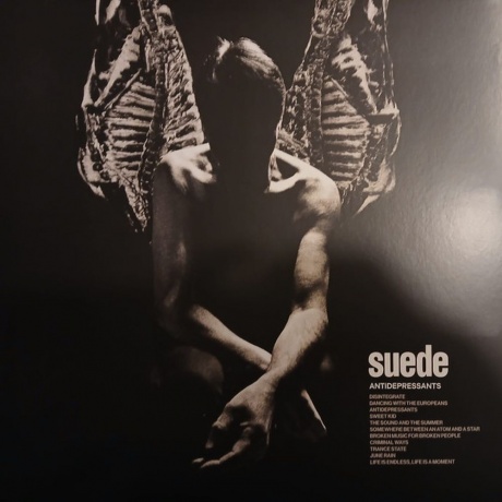 Suede - Antidepressants (4099964174113) виниловая пластинка
Suede - Antidepressants (4099964174113) виниловая пластинка