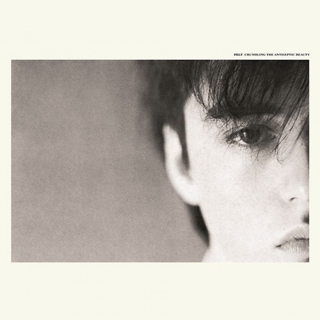 Felt - Crumbling The Antiseptic Beauty (5013929078017) виниловая пластинка
Felt - Crumbling The Antiseptic Beauty (5013929078017) виниловая пластинка