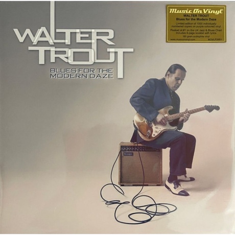 Walter Trout - Blues For The Modern Daze (Purple) (8719262041110) виниловая пластинка
Walter Trout - Blues For The Modern Daze (Purple) (8719262041110) виниловая пластинка