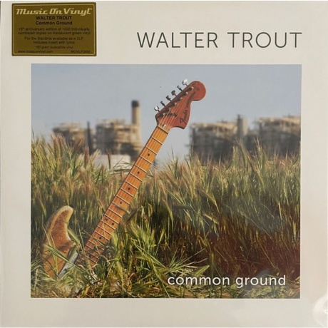 Walter Trout - Common Ground (Translucent Green) (8719262041103) виниловая пластинка
Walter Trout - Common Ground (Translucent Green) (8719262041103) виниловая пластинка