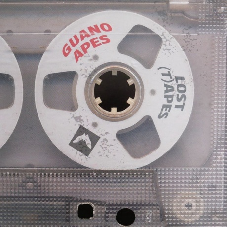 Guano Apes - Lost (T)Apes (0198028646215) виниловая пластинка
Guano Apes - Lost (T)Apes (0198028646215) виниловая пластинка