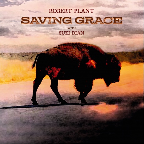 Robert Plant - Saving Grace (0075597895704) виниловая пластинка
Robert Plant - Saving Grace (0075597895704) виниловая пластинка