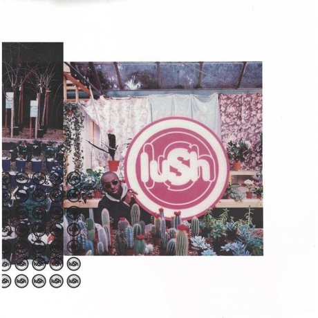 Lush - Lovelife (0191400045316) виниловая пластинка
Lush - Lovelife (0191400045316) виниловая пластинка