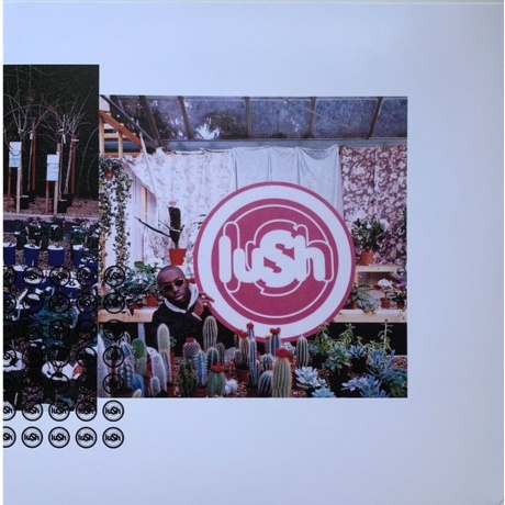 Lush - Lovelife (coloured) (0191400045309) виниловая пластинка
Lush - Lovelife (coloured) (0191400045309) виниловая пластинка