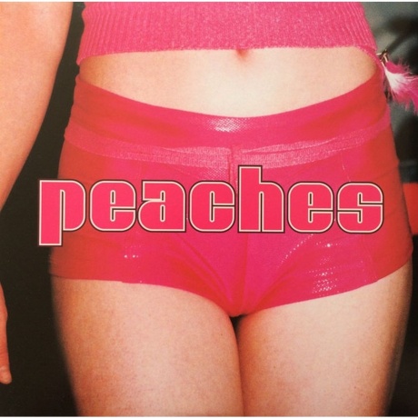 Peaches - Teaches Of Peaches (0634904016319) виниловая пластинка
Peaches - Teaches Of Peaches (0634904016319) виниловая пластинка