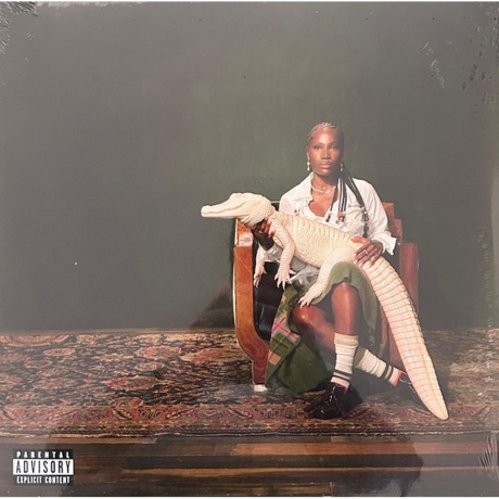 Doechii - Alligator Bites Never Heal (0602475859116) виниловая пластинка
Doechii - Alligator Bites Never Heal (0602475859116) виниловая пластинка