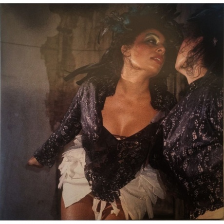 Celeste - Woman Of Faces (0602475960201) виниловая пластинка
Celeste - Woman Of Faces (0602475960201) виниловая пластинка