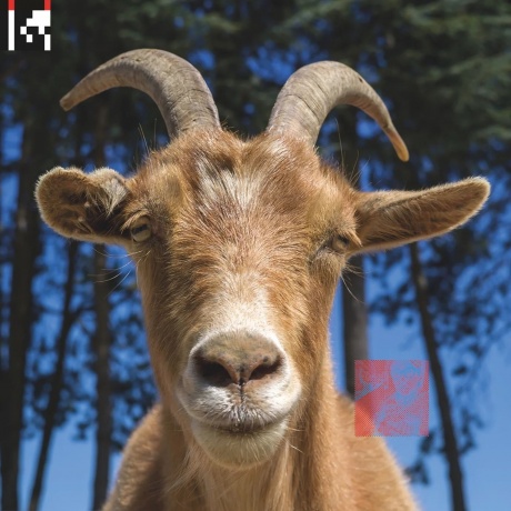 Agoria - .Dev (Coloured) (4251804127677) виниловая пластинка
Agoria - .Dev (Coloured) (4251804127677) виниловая пластинка