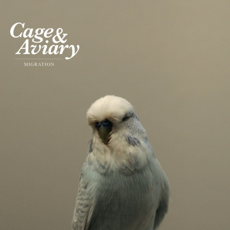 Cage & Aviary - Migration (0827170399068) виниловая пластинка
Cage & Aviary - Migration (0827170399068) виниловая пластинка