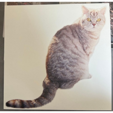 Sarter Kit - What I Am And What I'M Not (4251804185196) виниловая пластинка
Sarter Kit - What I Am And What I'M Not (4251804185196) виниловая пластинка