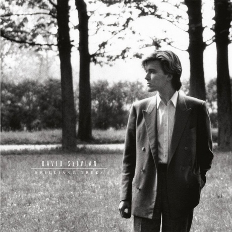 David Sylvian - Brilliant Trees (Coloured) (5400863176280) виниловая пластинка
David Sylvian - Brilliant Trees (Coloured) (5400863176280) виниловая пластинка