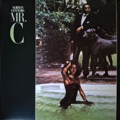 Norman Connors - Mr.C (4251804184649) виниловая пластинка
Norman Connors - Mr.C (4251804184649) виниловая пластинка