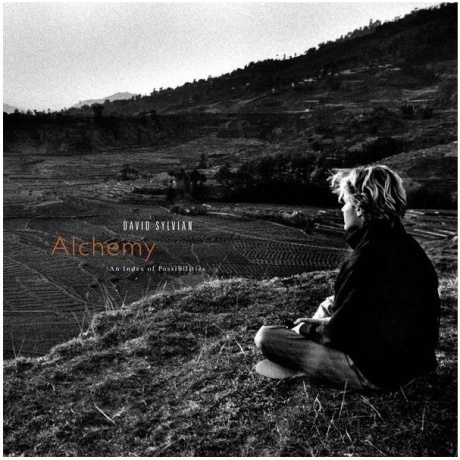 David Sylvian - Alchemy: An Index Of Possibilities (Gold) (5400863176297) виниловая пластинка
David Sylvian - Alchemy: An Index Of Possibilities (Gold) (5400863176297) виниловая пластинка