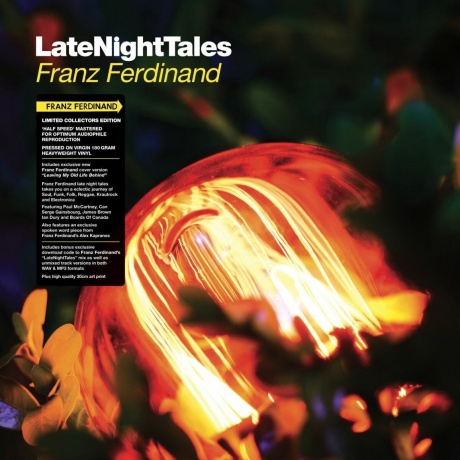 Franz Ferdinand - Late Night Tales (5060391090115) виниловая пластинка
Franz Ferdinand - Late Night Tales (5060391090115) виниловая пластинка