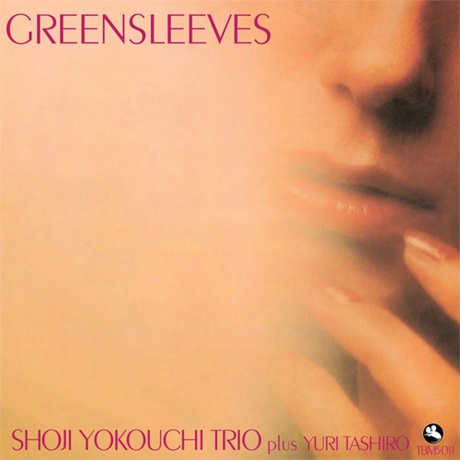 Shoji Yokouchi - Greensleeves (Analogue) (0856276002176) виниловая пластинка
Shoji Yokouchi - Greensleeves (Analogue) (0856276002176) виниловая пластинка