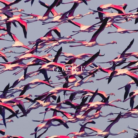 Deftones - Gore (0093624926498) виниловая пластинка
Deftones - Gore (0093624926498) виниловая пластинка