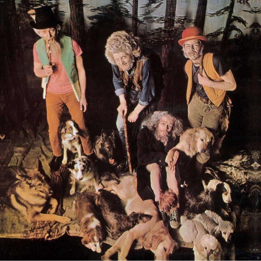 Виниловая пластинка Jethro Tull, This Was (0825646307807)
Виниловая пластинка Jethro Tull, This Was (0825646307807)