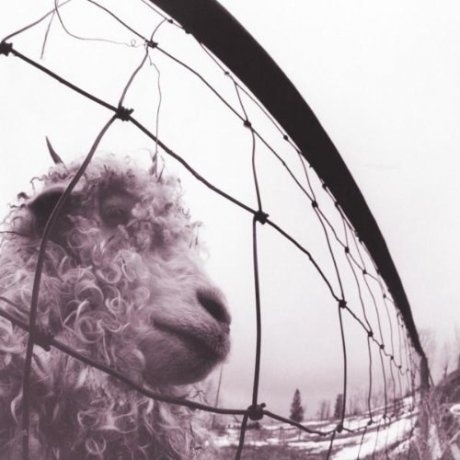 Pearl Jam, Vs. (Remastered) (0886978431318) виниловая пластинка
Pearl Jam, Vs. (Remastered) (0886978431318) виниловая пластинка