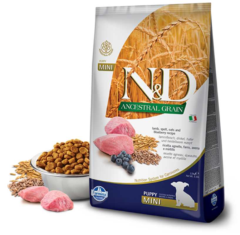 Корм сухой Farmina N&D ANCESTRAL GRAIN для собак MINI ягненок,спельта, овес, черника 7 кг
Корм сухой Farmina N&D ANCESTRAL GRAIN для собак MINI ягненок,спельта, овес, черника 7 кг