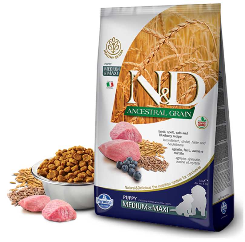 Корм сухой Farmina N&D ANCESTRAL GRAIN для щенков MEDIUM/MAXI ягнёнок, спельта, овес, черника 2,5 кг
Корм сухой Farmina N&D ANCESTRAL GRAIN для щенков MEDIUM/MAXI ягнёнок, спельта, овес, черника 2,5 кг