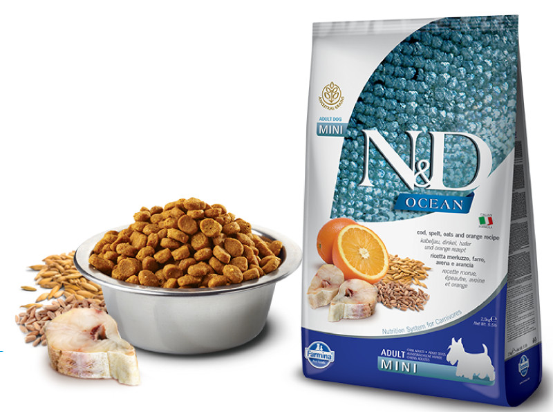 Корм сухой Farmina N&D OCEAN для собак MINI треска, спельта, овес, апельсин 2,5 кг
Корм сухой Farmina N&D OCEAN для собак MINI треска, спельта, овес, апельсин 2,5 кг