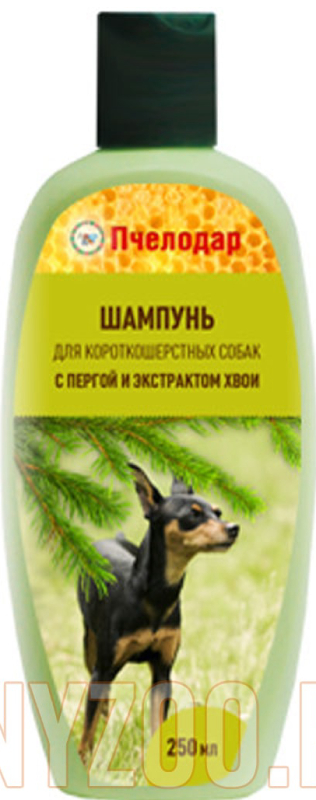 Шампунь Пчелодар для короткошерстных собак с пергой и хвоей 250 мл 1045
Шампунь Пчелодар для короткошерстных собак с пергой и хвоей 250 мл 1045