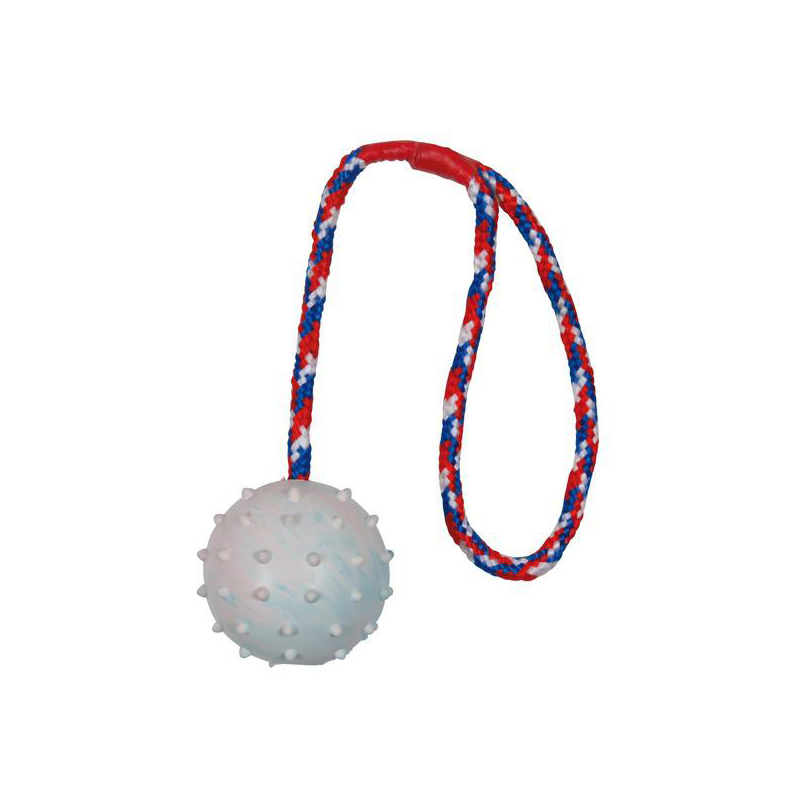 Игрушка для собак TRIXIE мяч на веревке 6 см
Игрушка для собак TRIXIE мяч на веревке 6 см