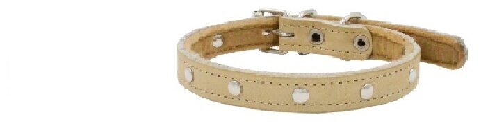Ошейник для собак 0513Б 1сл 14 мм фетр длина до 32 см бежевый
Ошейник для собак 0513Б 1сл 14 мм фетр длина до 32 см бежевый