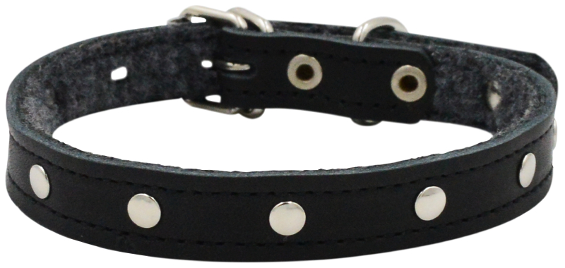 Ошейник для собак 0515Ч 1сл 14 мм фетр бусинка длина до 32 см черный
Ошейник для собак 0515Ч 1сл 14 мм фетр бусинка длина до 32 см черный