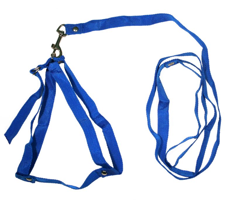 Комплект для собак 1015С поводок + шлейка капроновый синий 65 см
Комплект для собак 1015С поводок + шлейка капроновый синий 65 см