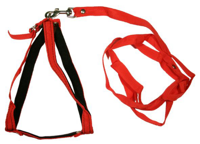 Комплект для собак 1015К поводок + шлейка капроновый красный 65 см
Комплект для собак 1015К поводок + шлейка капроновый красный 65 см