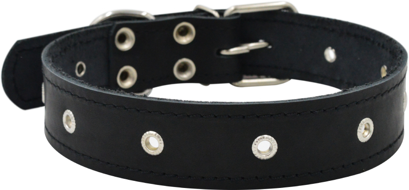Ошейник для собак 0540Ч 1сл 26 мм блочка длина до 50 см черный
Ошейник для собак 0540Ч 1сл 26 мм блочка длина до 50 см черный