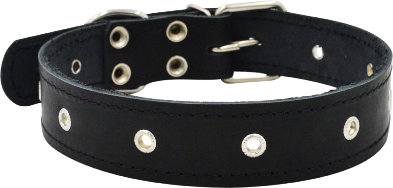 Ошейник для собак 0546Ч 1сл 26 мм фетр блочка длина до 50 см черный
Ошейник для собак 0546Ч 1сл 26 мм фетр блочка длина до 50 см черный