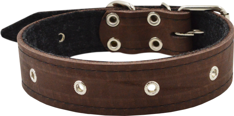 Ошейник для собак 0554К 1сл 36 мм фетр блочка длина до 60 см коричневый
Ошейник для собак 0554К 1сл 36 мм фетр блочка длина до 60 см коричневый