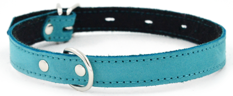 Ошейник для собак 1113Б COLOR LINE 1сл 18 мм нубук/фетр длина 30-39 см бирюзовый
Ошейник для собак 1113Б COLOR LINE 1сл 18 мм нубук/фетр длина 30-39 см бирюзовый