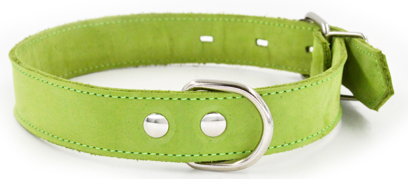Ошейник для собак 1124С COLOR LINE 2сл 25 мм нубук длина 35-45 см салатовый
Ошейник для собак 1124С COLOR LINE 2сл 25 мм нубук длина 35-45 см салатовый